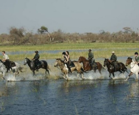 randonnee cheval okavango