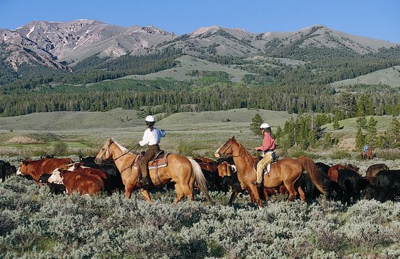 randonnee equestre wyoming