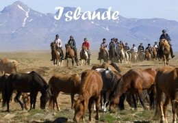 randonnee a cheval islande