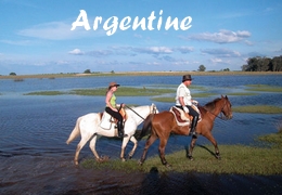 rando cheval argentine