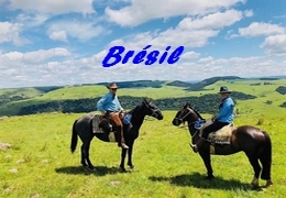 rando cheval bresil