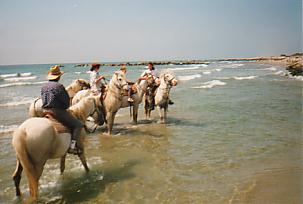 randonnee 2 jours cheval camargue