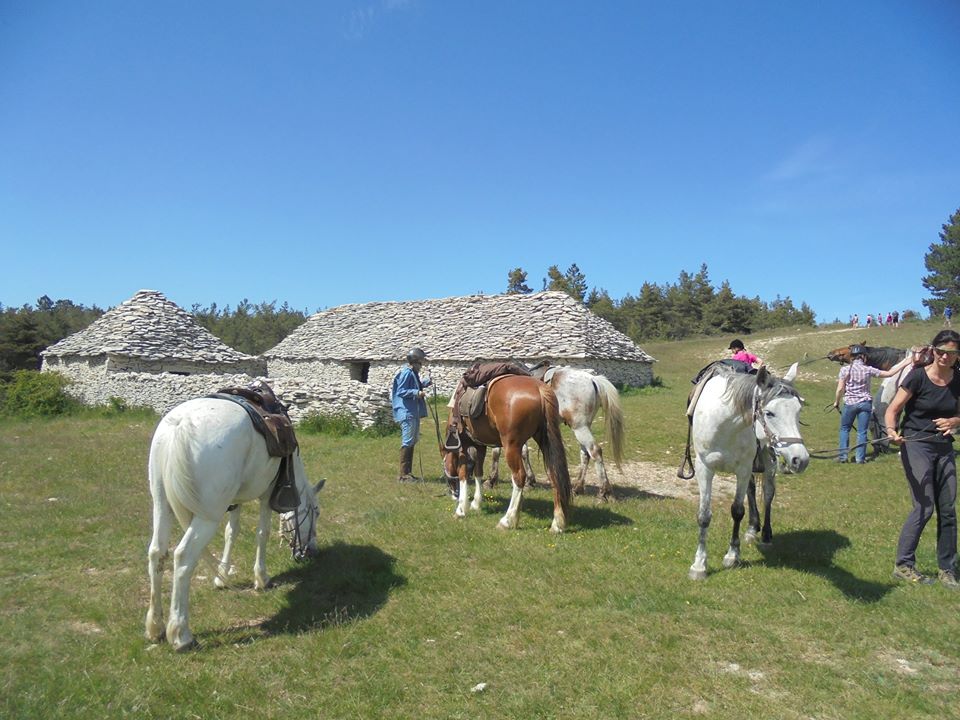 randonnee a cheval provence