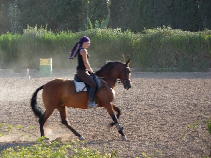 randonnee cheval majorque
