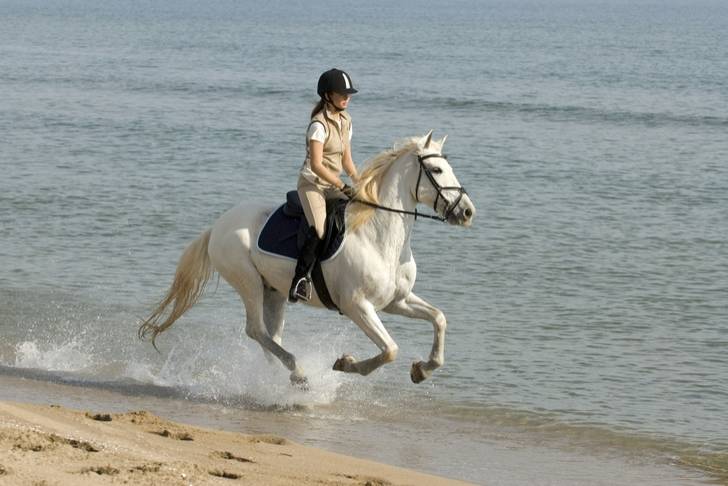randonnee cheval etranger