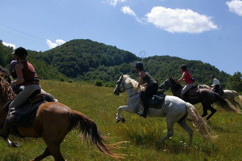 randonnee cheval montagne