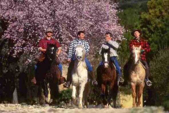 randonnee cheval paca