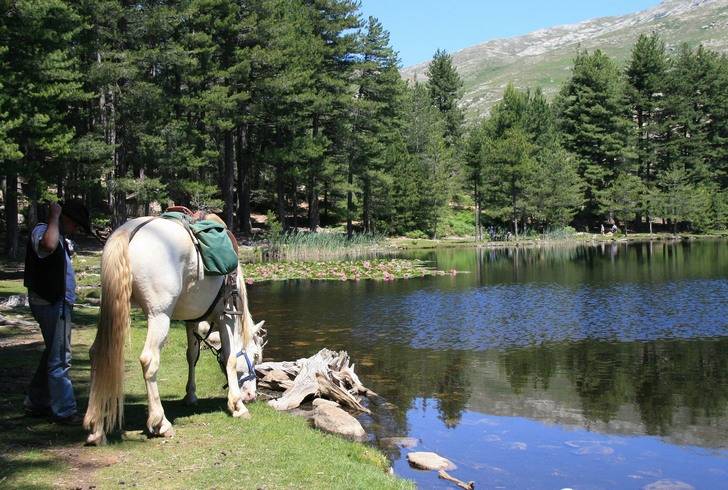 randonnee a cheval corse