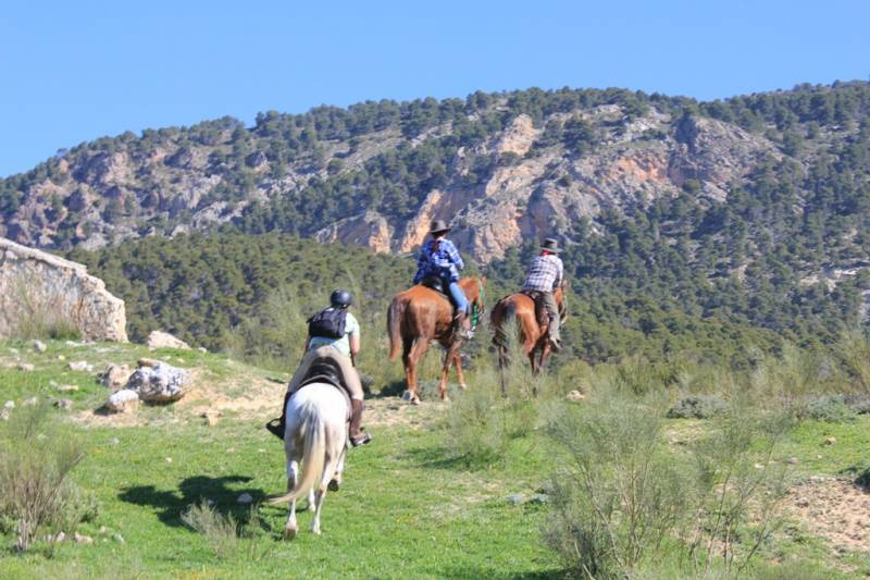 randonnee cheval pas cher