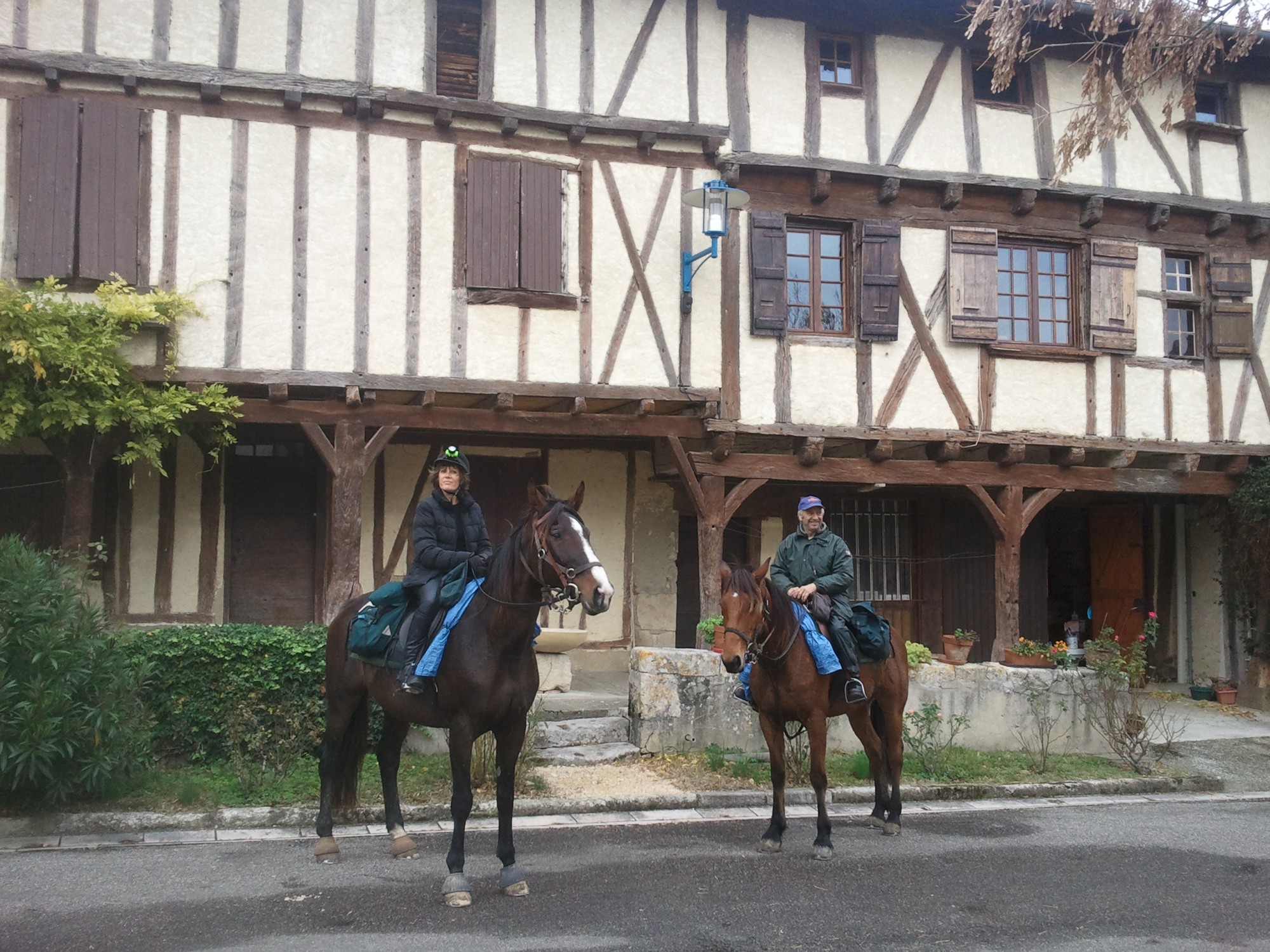 randonnee cheval vaucluse