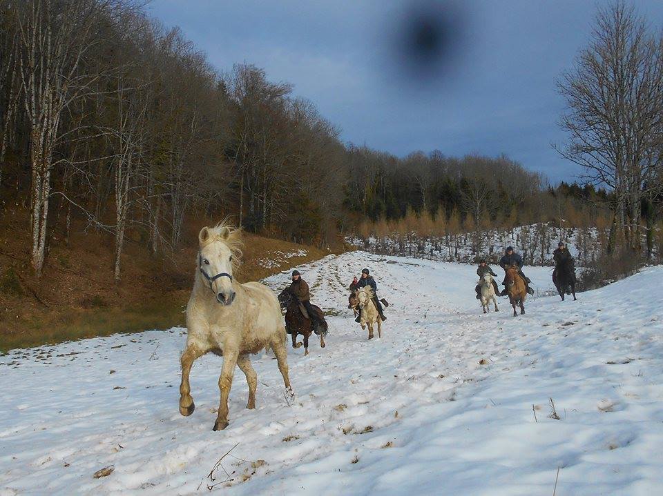 randonnee cheval neige