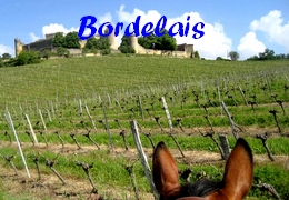 randonnee a cheval bordeaux