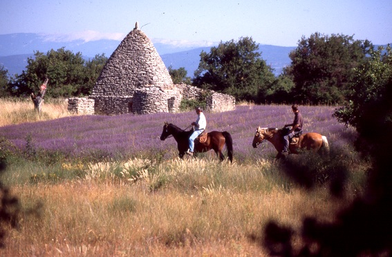 randonnee a cheval provence