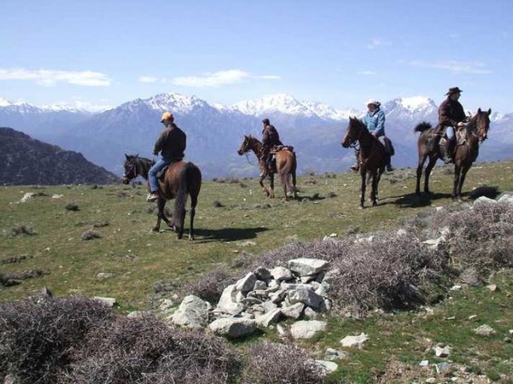 randonnee cheval montagne