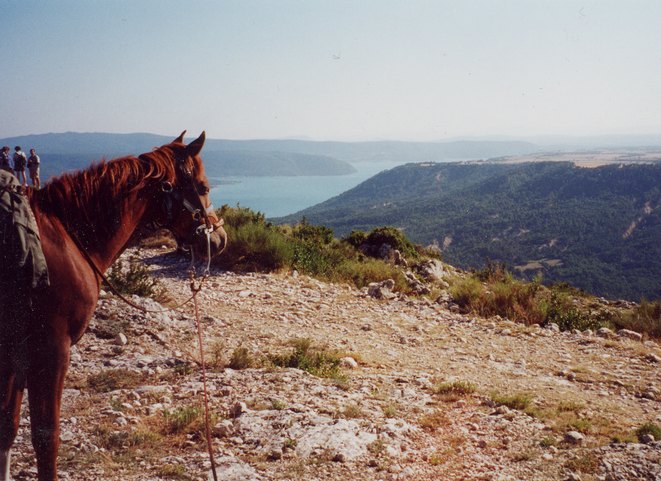 randonnee cheval gorges du verdon