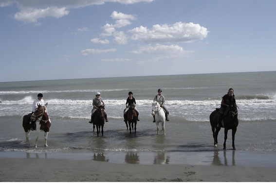randonnee 2 jours cheval camargue