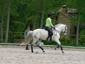 Cap rando - G�tes randonn�es voyage �questre et p�destre - Lauris 84 Vaucluse
