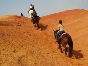 Cap rando - G�tes randonn�es voyage �questre et p�destre - Lauris 84 Vaucluse