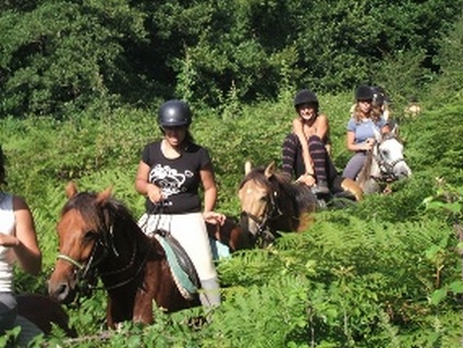 Cap rando - G�tes randonn�es voyage �questre et p�destre - Lauris 84 Vaucluse