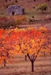Cap rando - G�tes randonn�es voyage �questre et p�destre - Lauris 84 Vaucluse