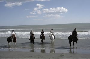 Cap rando - G�tes randonn�es voyage �questre et p�destre - Lauris 84 Vaucluse