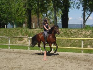 Cap rando - G�tes randonn�es voyage �questre et p�destre - Lauris 84 Vaucluse