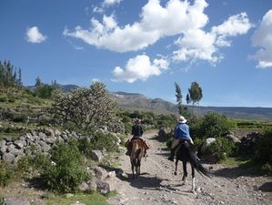 Cap rando - G�tes randonn�es voyage �questre et p�destre - Lauris 84 Vaucluse