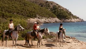 Cap rando - G�tes randonn�es voyage �questre et p�destre - Lauris 84 Vaucluse