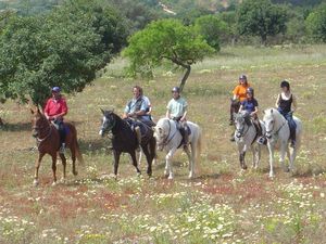 Cap rando - G�tes randonn�es voyage �questre et p�destre - Lauris 84 Vaucluse