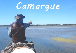 randonnée à cheval en Camargue