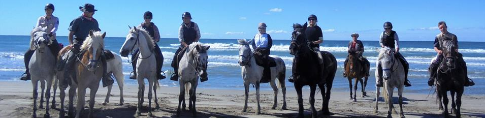 rando équestre en Camargue