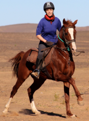 randonnee equestre maroc