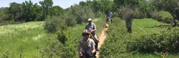 Partir en rando à cheval au Maroc