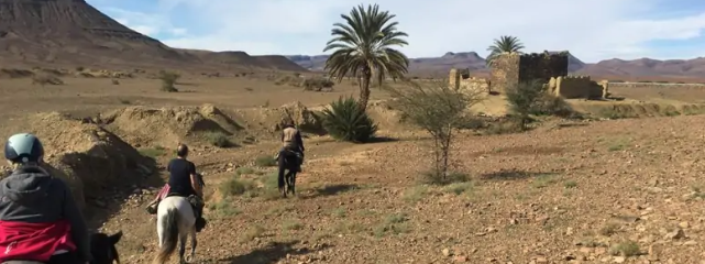 Maroc en rando à cheval