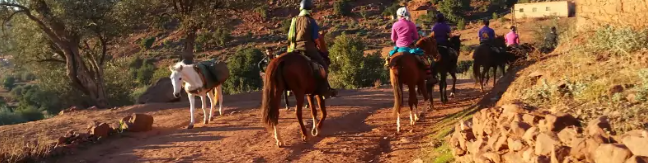 Découvrir le Maroc à cheval