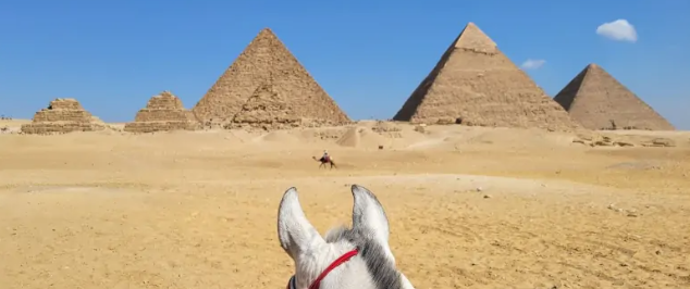 A cheval en Egypte
