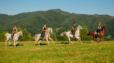 Rando à cheval en Roumanie