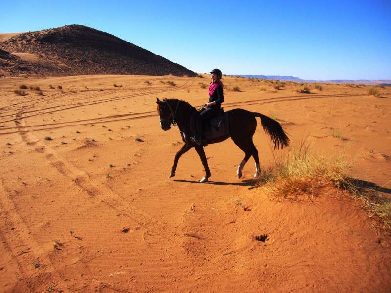 maroc a cheval