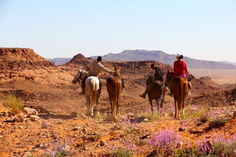 voyage a cheval maroc