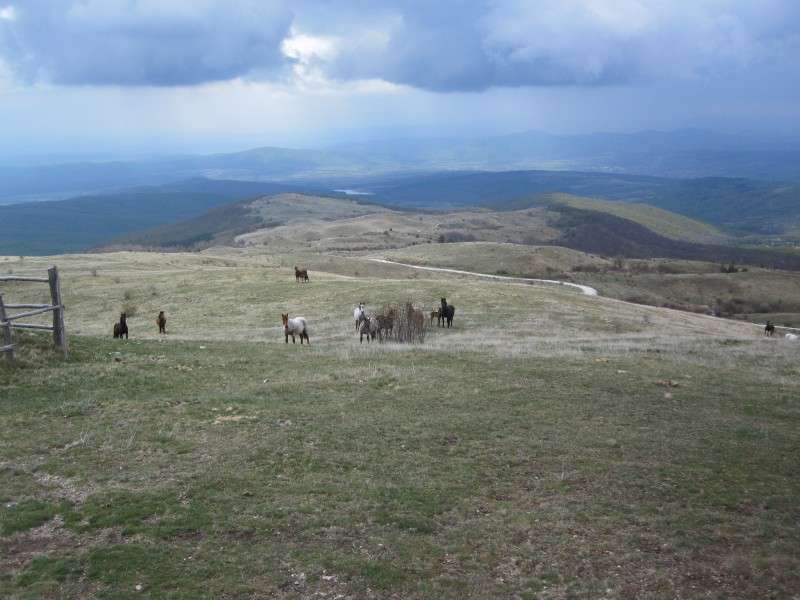 equitation en Bulgarie
