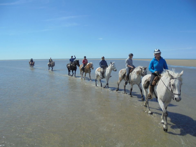 Faire une randonnée à cheval en Camargue
