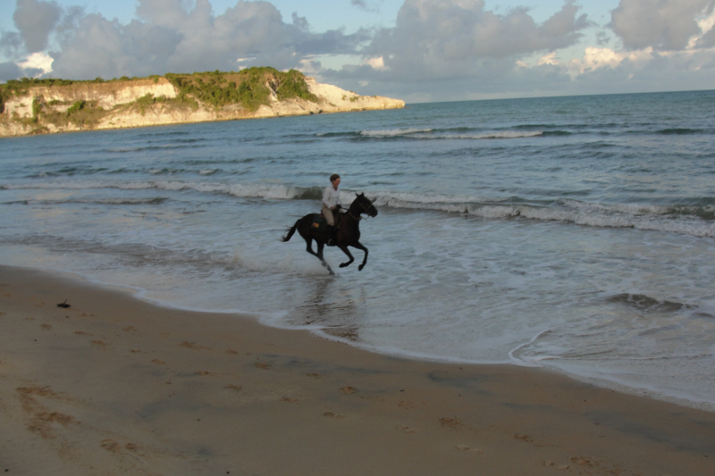 Randonnée a cheval au Brésil