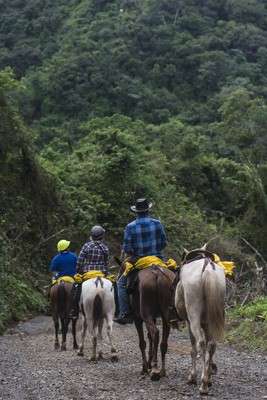 rando cheval Costa Rica