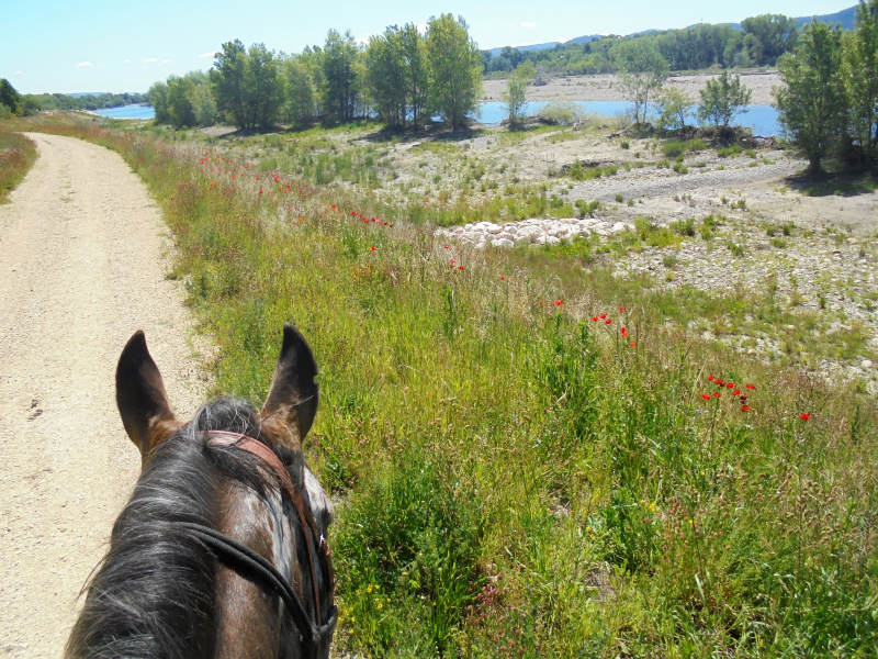 Promenade à cheval dans le Vaucluse