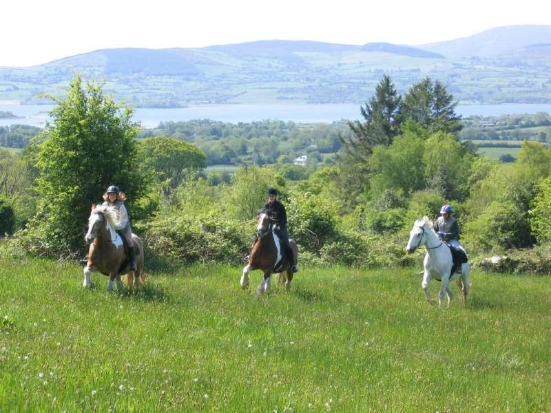 stage équitation en Irlande