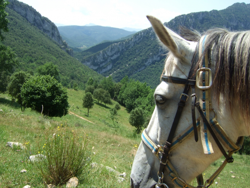 Semaine randonnée cheval en Espagne