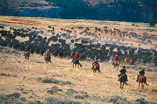 séjour équestre ranch Wyoming