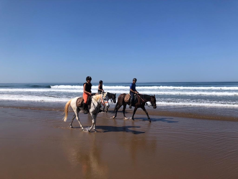 stage équitation Maroc