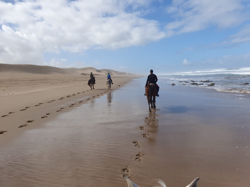 semaine équitation Maroc