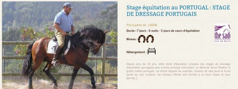 stage equitation portuguaise